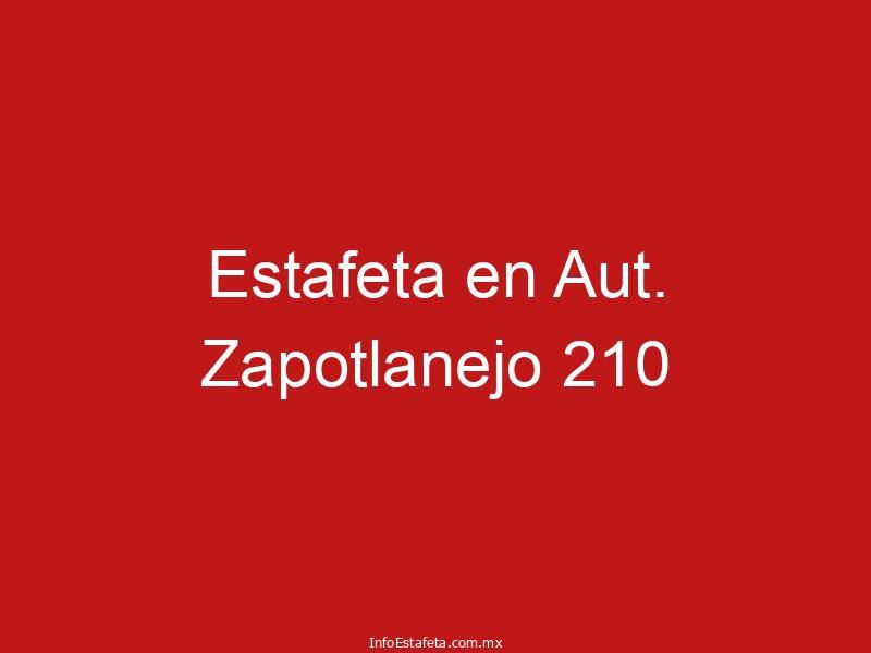 Estafeta en Aut. Zapotlanejo 210