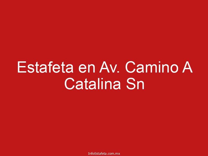 Estafeta en Av. Camino A Catalina Sn