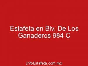 Estafeta en Blv. De Los Ganaderos 984 C