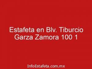 Estafeta en Blv. Tiburcio Garza Zamora 100 1