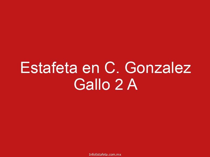 Estafeta en C. Gonzalez Gallo 2 A