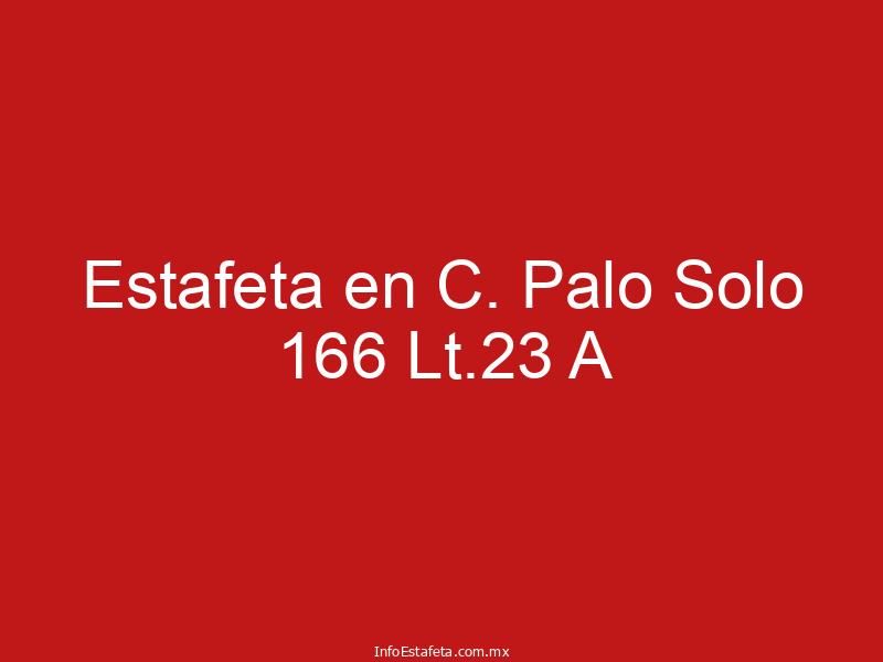 Estafeta en C. Palo Solo 166 Lt.23 A