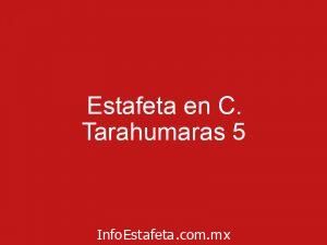 Estafeta en C. Tarahumaras 5