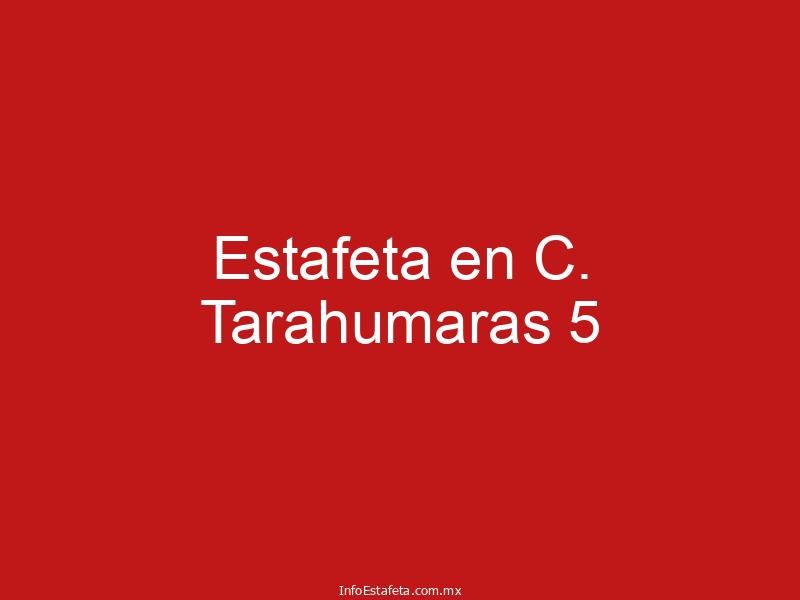 Estafeta en C. Tarahumaras 5