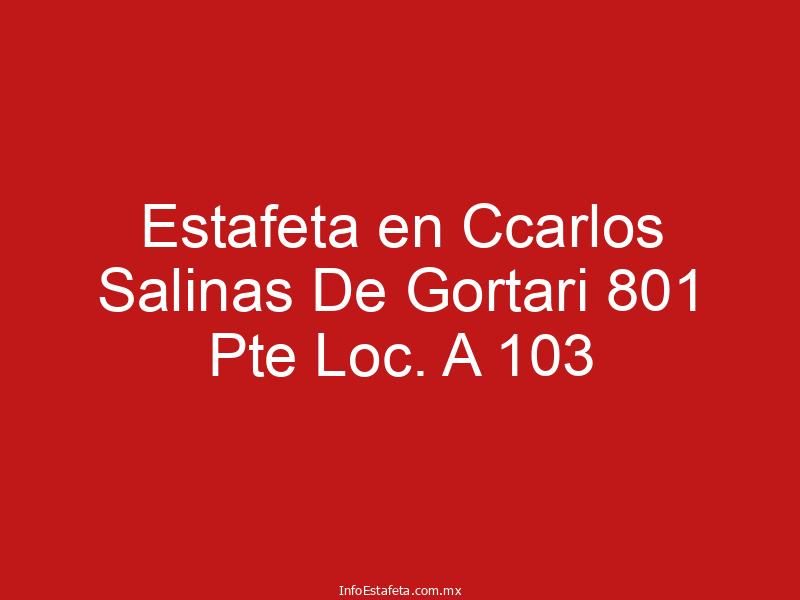 Estafeta en Ccarlos Salinas De Gortari 801 Pte Loc. A 103