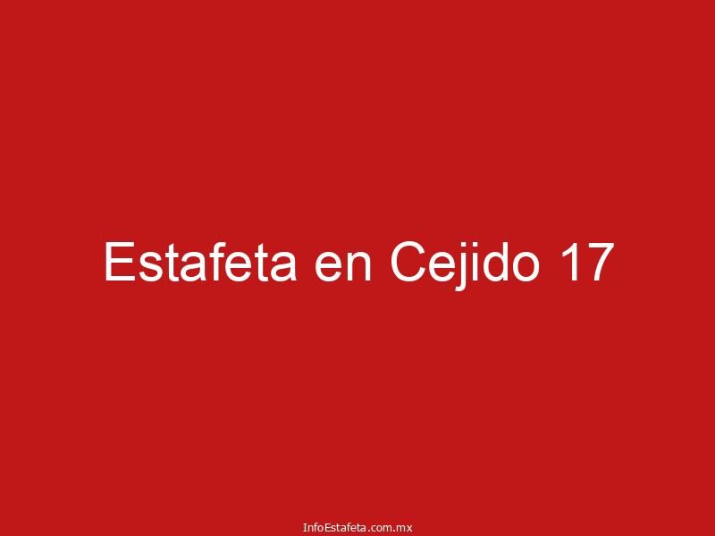 Estafeta en Cejido 17
