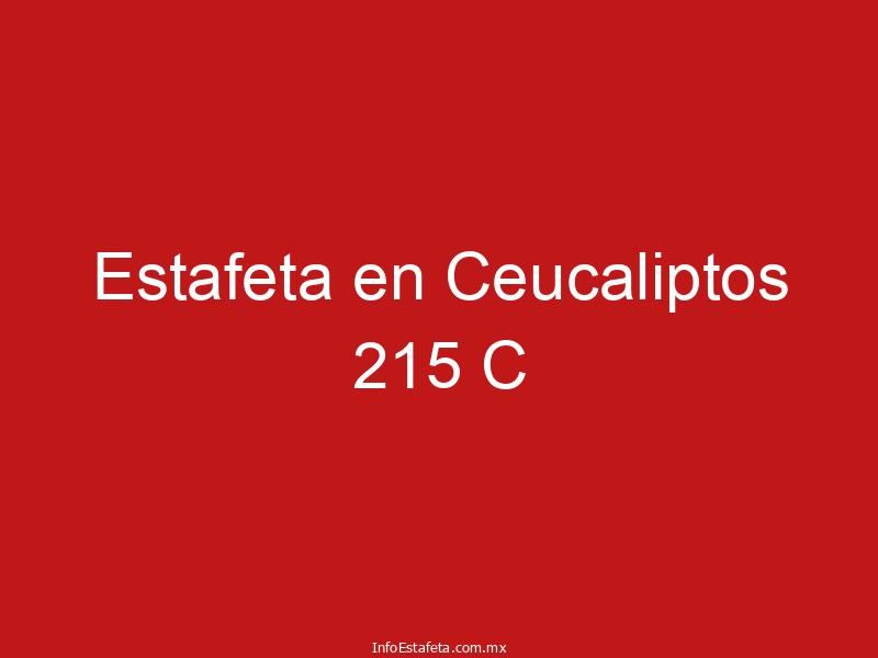 Estafeta en Ceucaliptos 215 C
