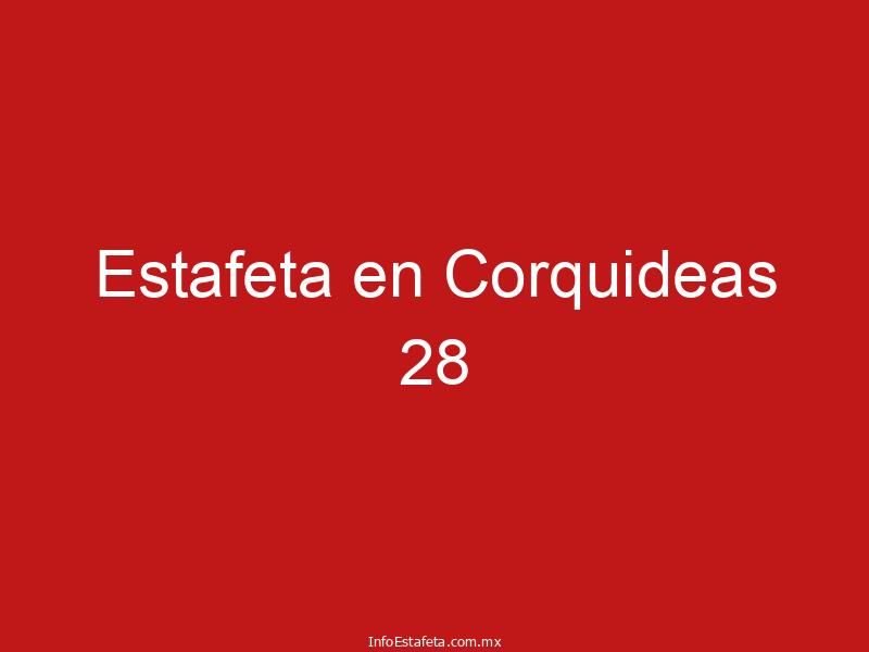 Estafeta en Corquideas 28