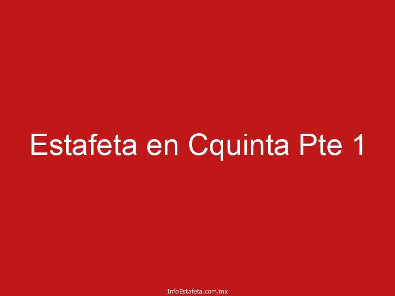 Estafeta en Cquinta Pte 1