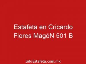 Estafeta en Cricardo Flores MagóN 501 B