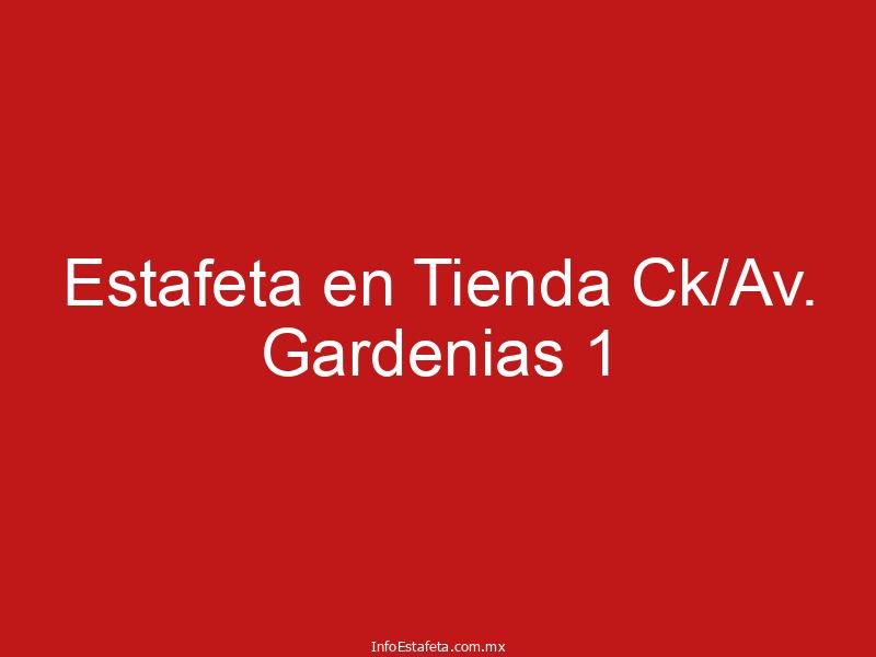 Estafeta en Tienda Ck/Av. Gardenias 1
