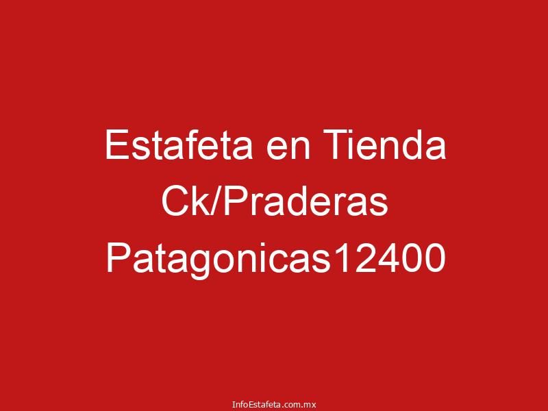 Estafeta en Tienda Ck/Praderas Patagonicas12400