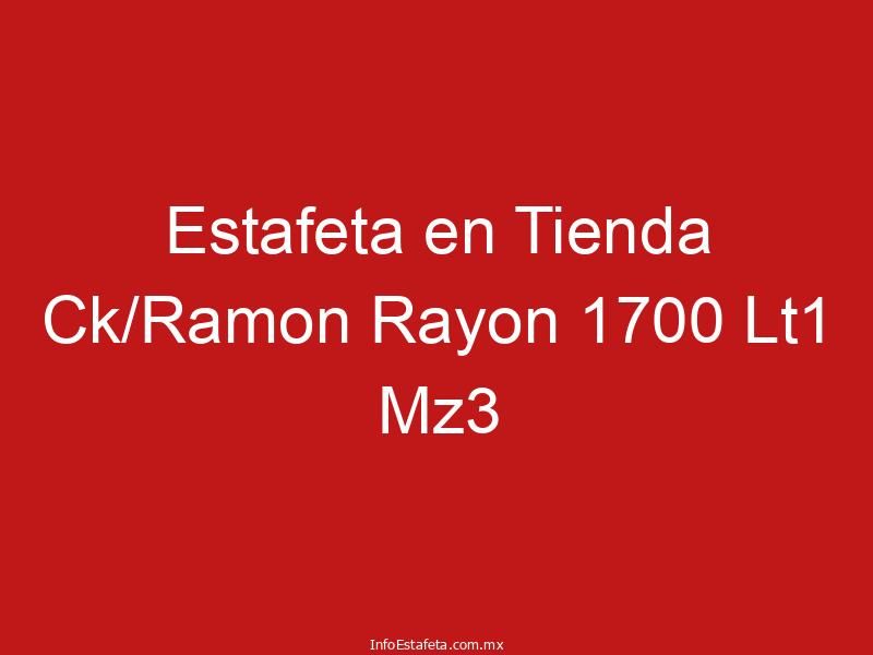 Estafeta en Tienda Ck/Ramon Rayon 1700 Lt1 Mz3