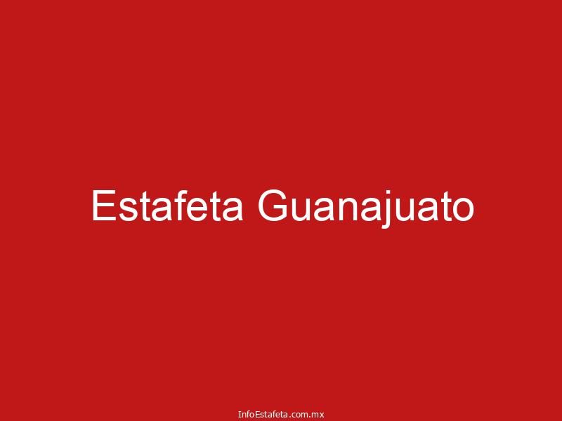 Estafeta Guanajuato