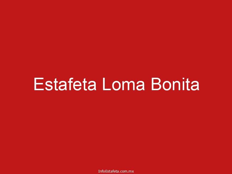 Estafeta Loma Bonita