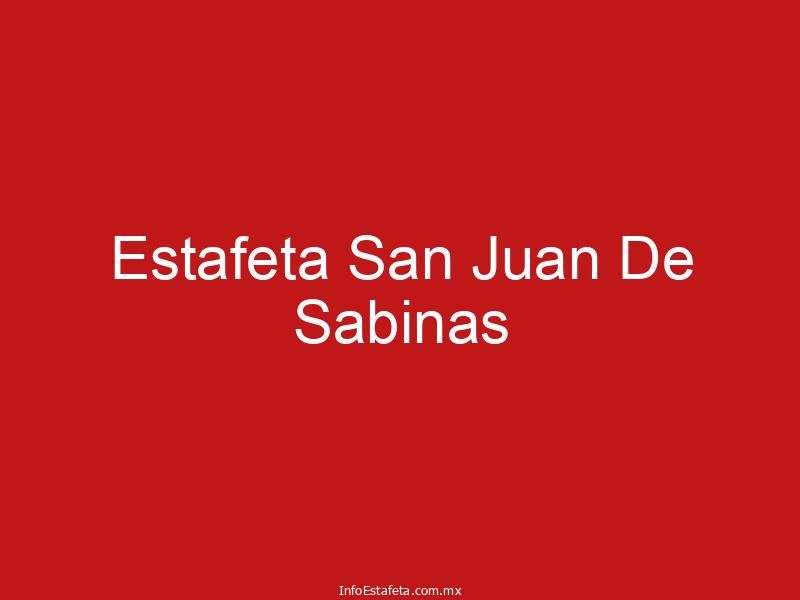 Estafeta San Juan De Sabinas